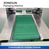 ZONESUN 4 Side Sealing Horizontal Flow Wrapper ZS-DCF100