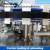 ZS-ZHJ50D Automatic Cartoning Box Sealing Packaging Machine