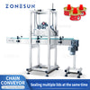 ZONEPACK Automatic Cap Pressing Capping Machine ZS-XG21